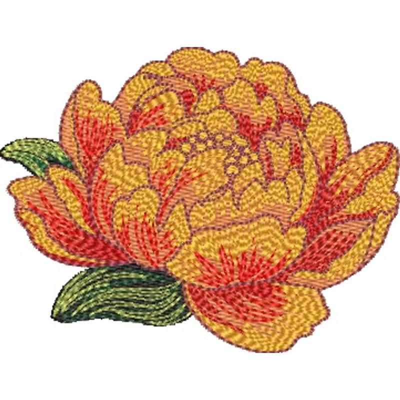 The orange peony