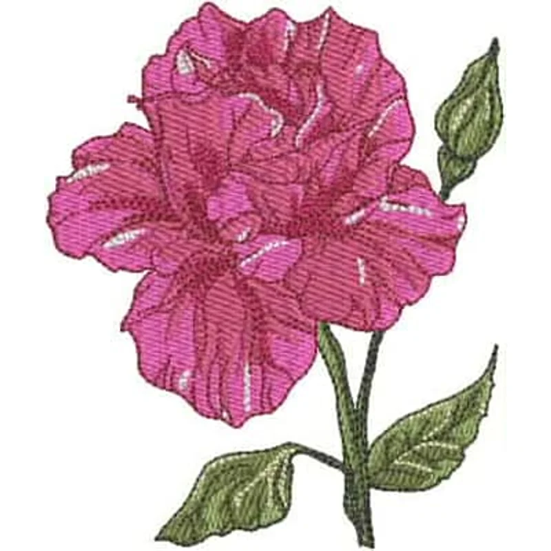 Весенняя роза