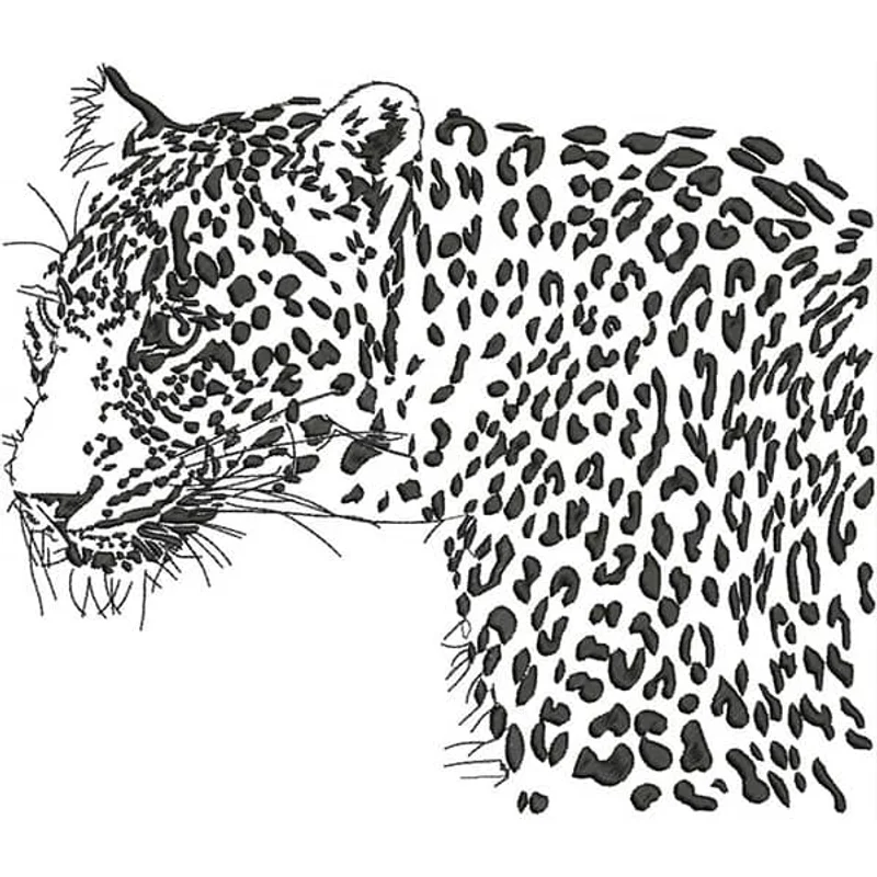 Леопард