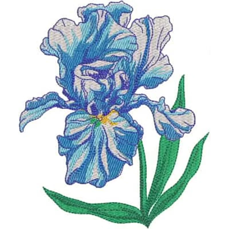Весенний ирис