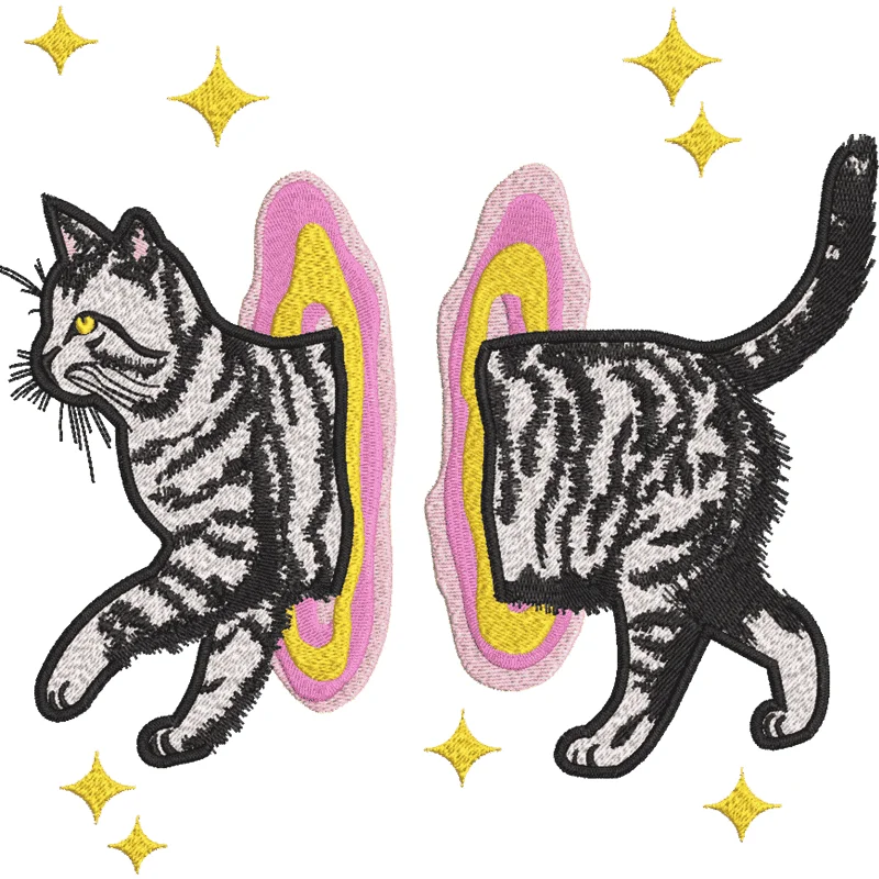 Кот Телепорт