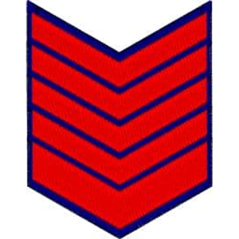 Погон Выслуга 9 лет
