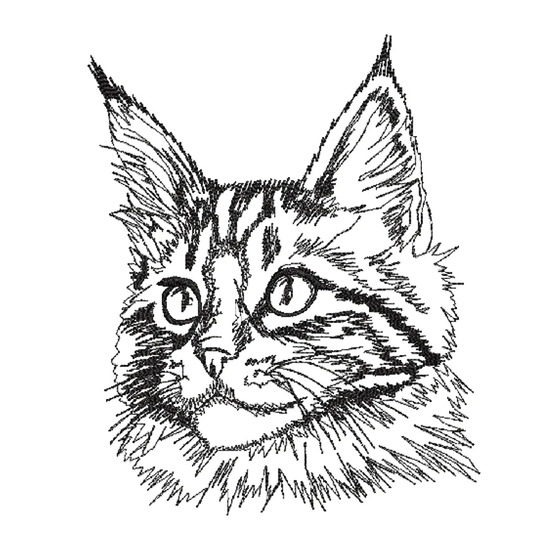 Мейнкун кот