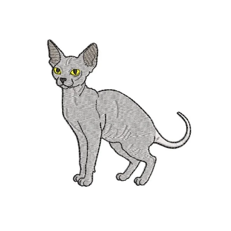 Кот сфинкс 1603