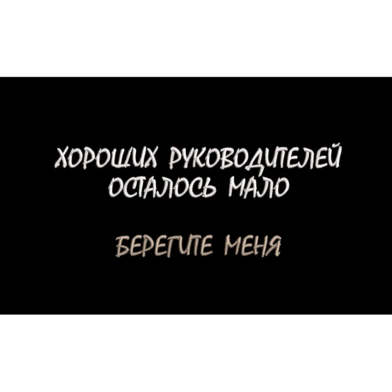 Хороших руководителей осталось мало берегите меня / прикольная надпись 