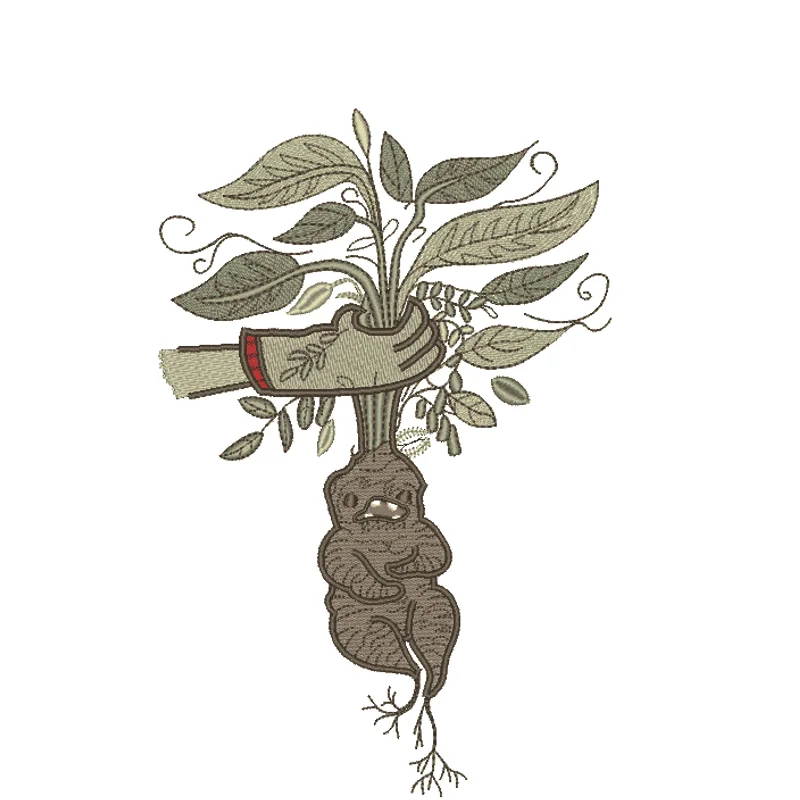 корень Мандрагоры 