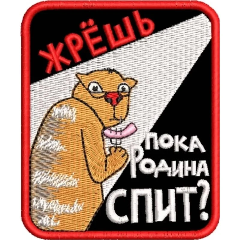 Кот жрет